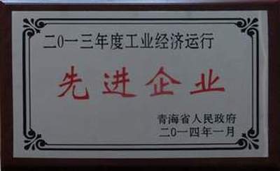 集團(tuán)榮獲2013年度全省工業(yè)經(jīng)濟(jì)運行先進(jìn)企業(yè)